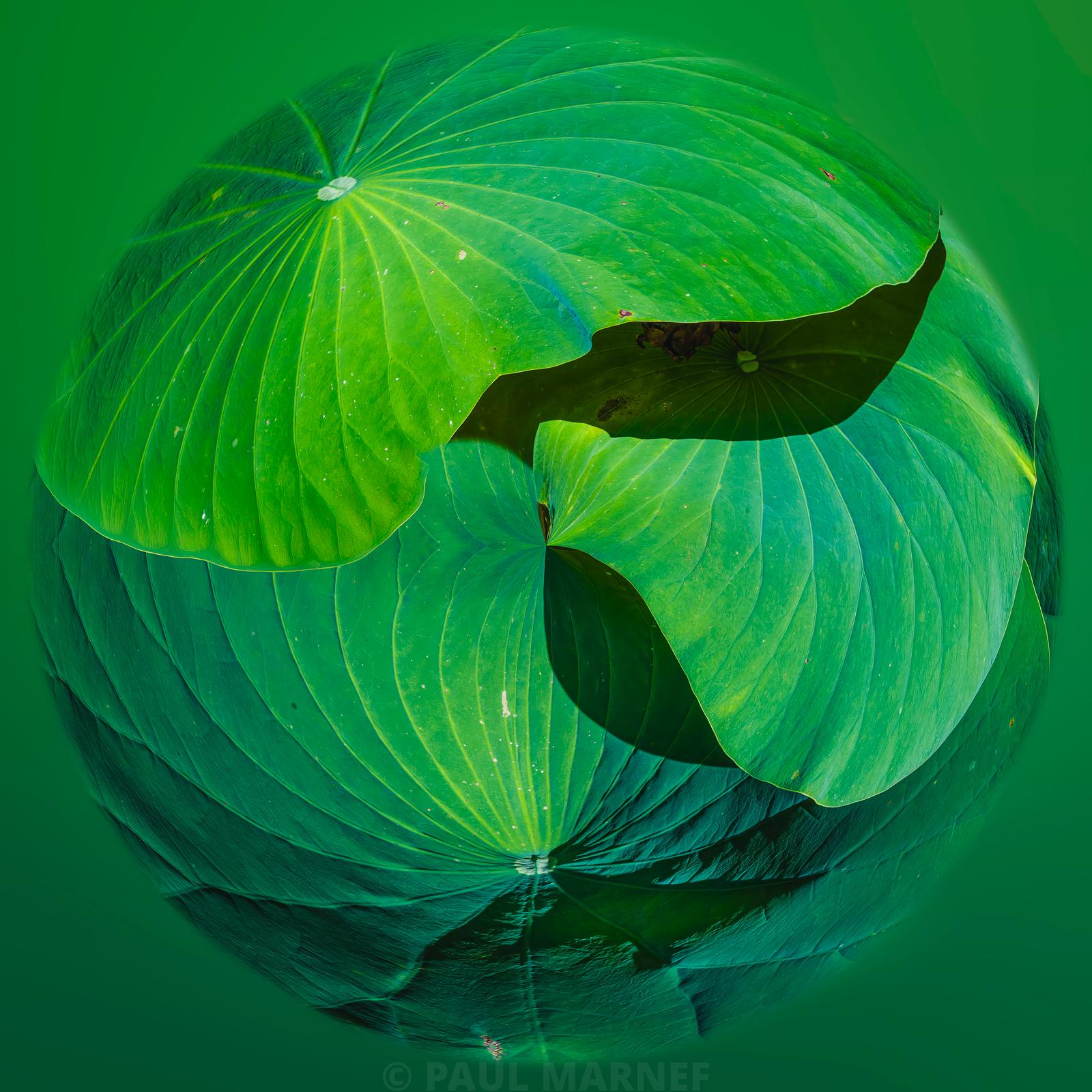 Similar fine art photographs: comparing works while following your instinct