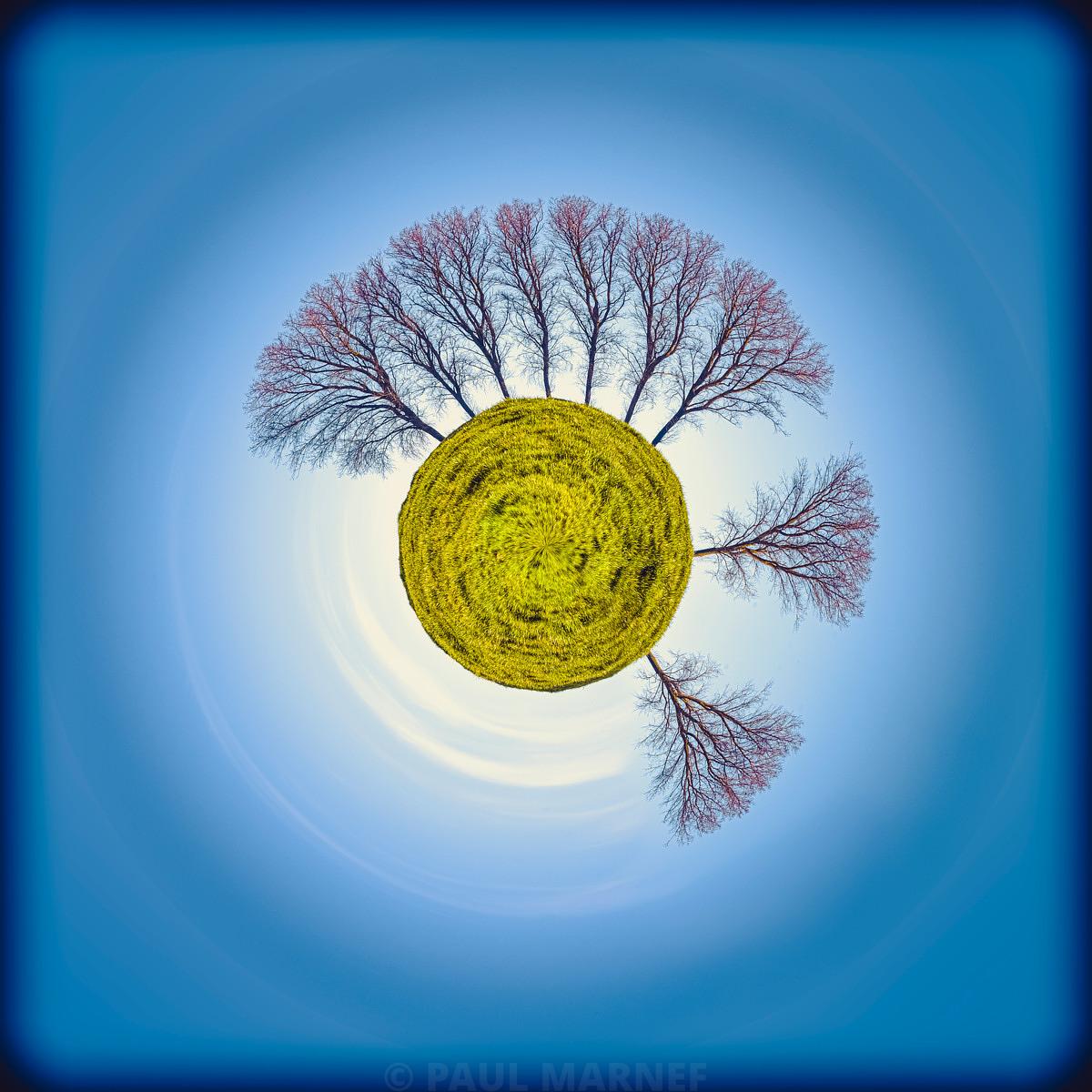 « La Danse des Branches », photographie de la série Planètes Imaginaires de Paul Marnef