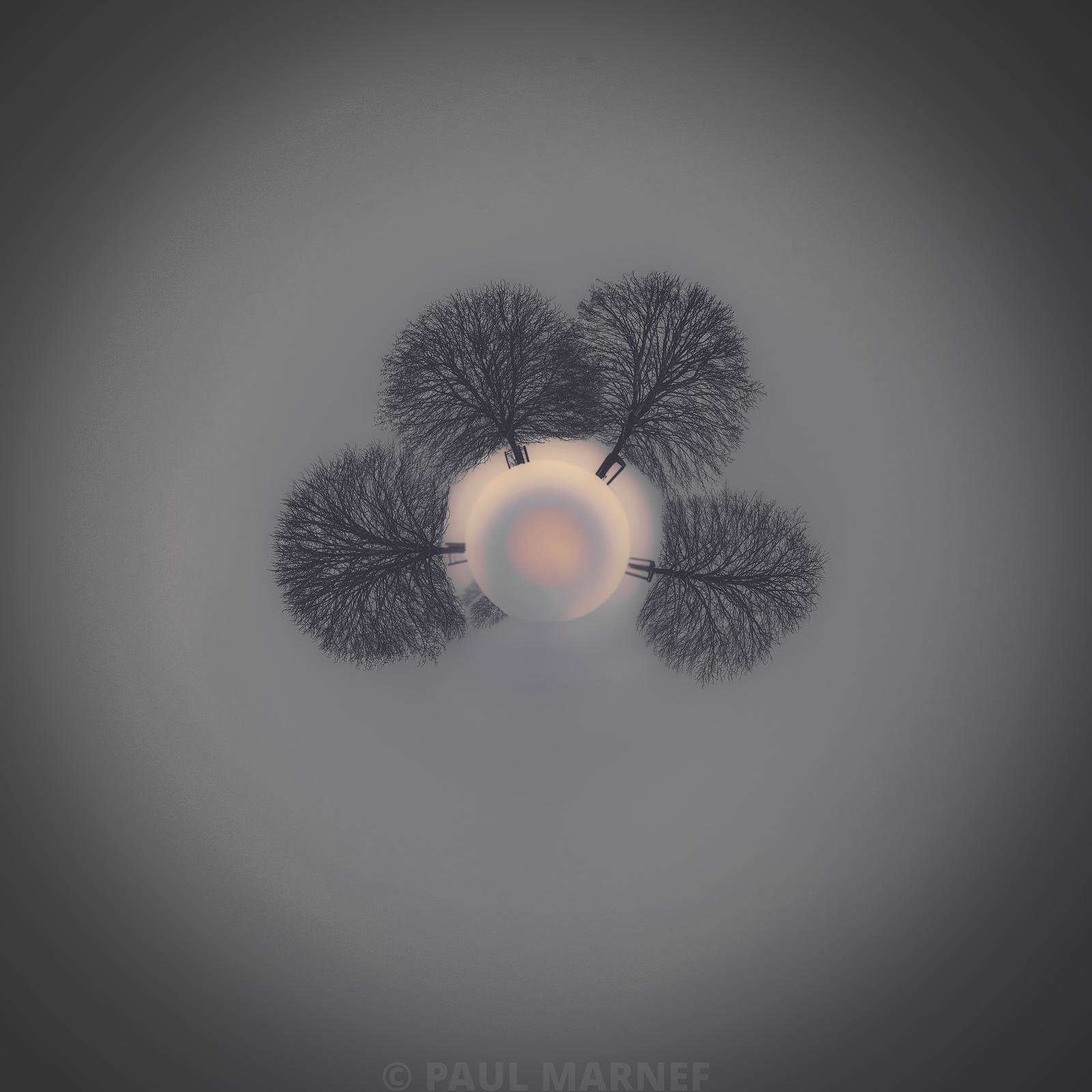 « Les Arbres de la Lune », photographie de la série Planètes Imaginaires de Paul Marnef