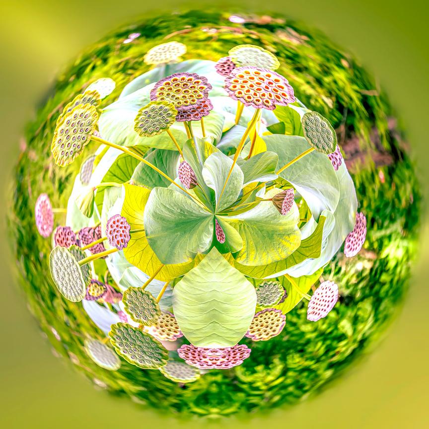 ‘Walking on the green planet’, a photograph from Paul Marnef’s ‘Imaginary Planets’ series