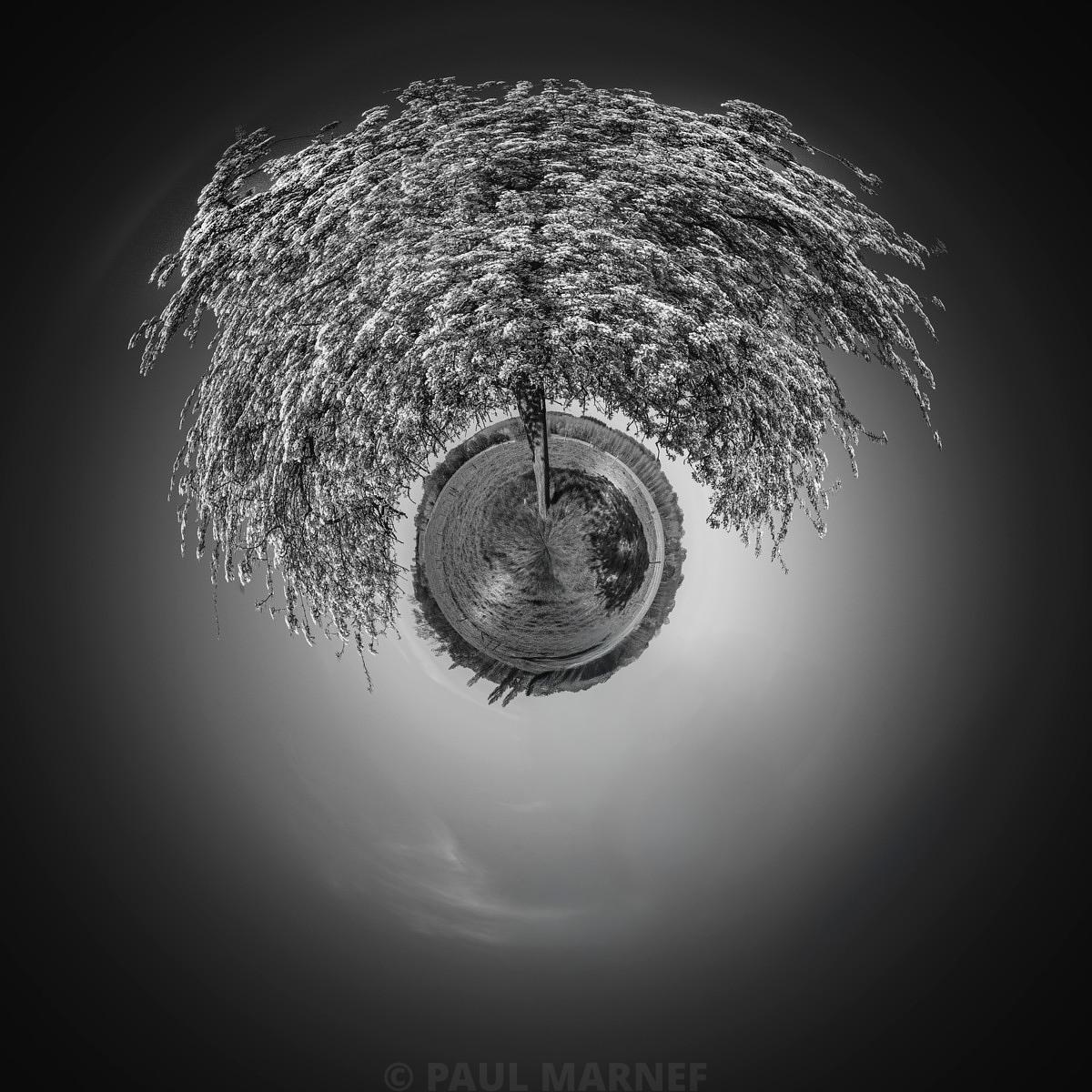 A collector’s guide to fine art photography: choosing and caring for prints