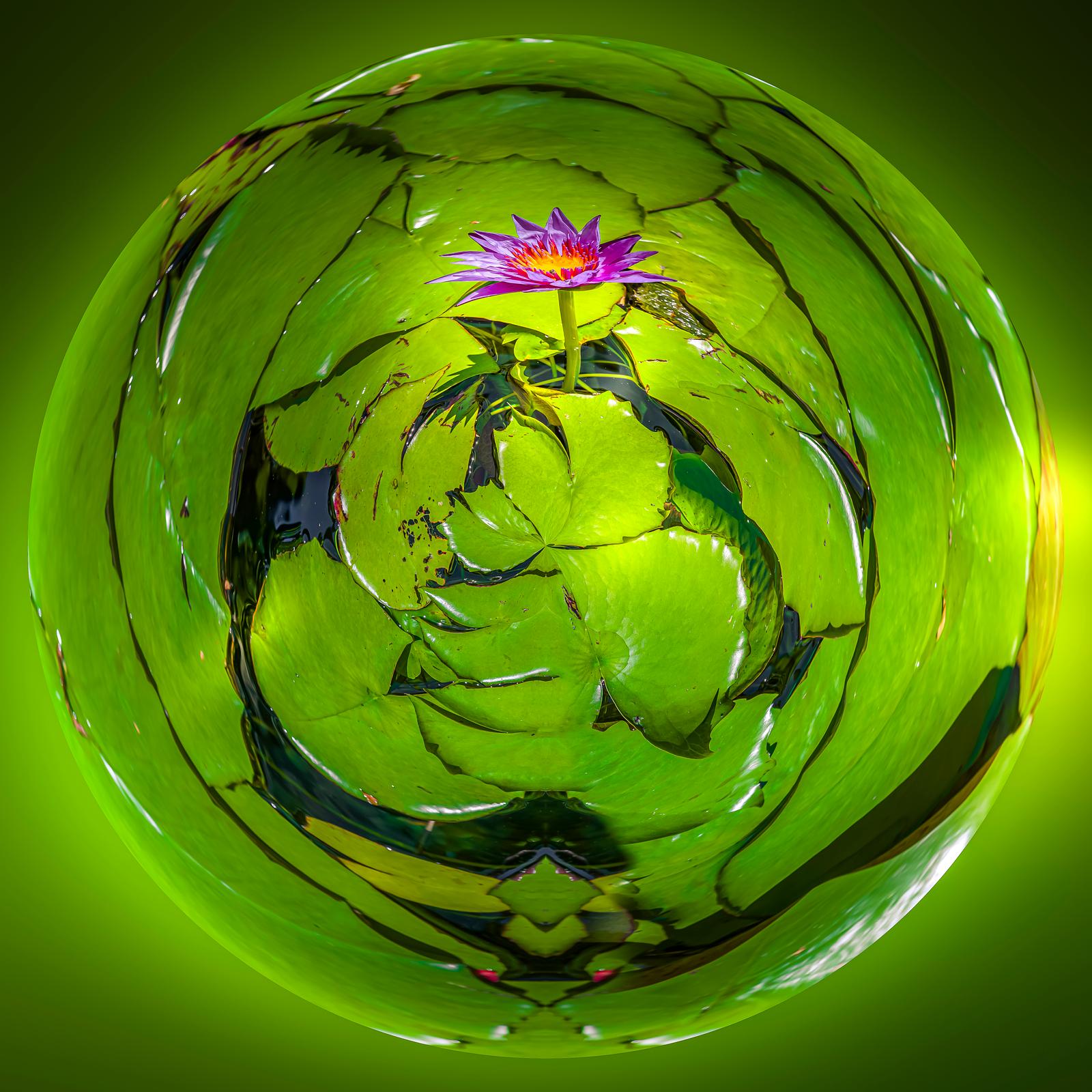 Fêtes de la Saint-Martin 2024: my Imaginary Planets in Hamme-Mille