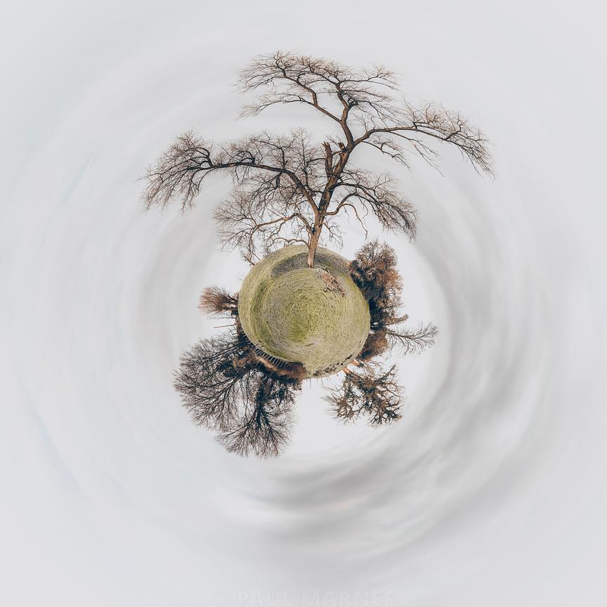 ‘Not the Last Tree’, a photograph from Paul Marnef’s ‘Imaginary Planets’ series