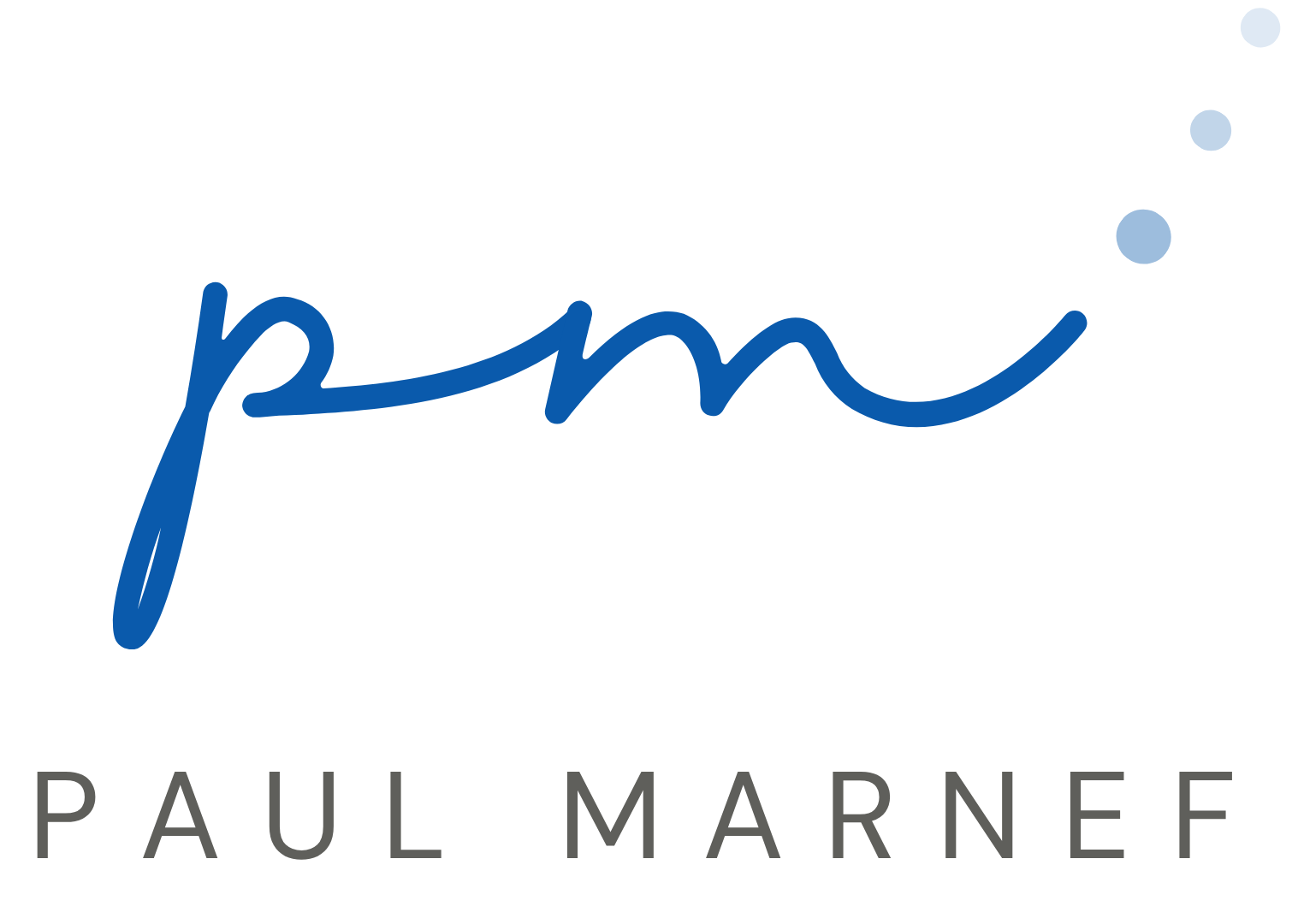 Paul Marnef – artiste photographe, logo officiel