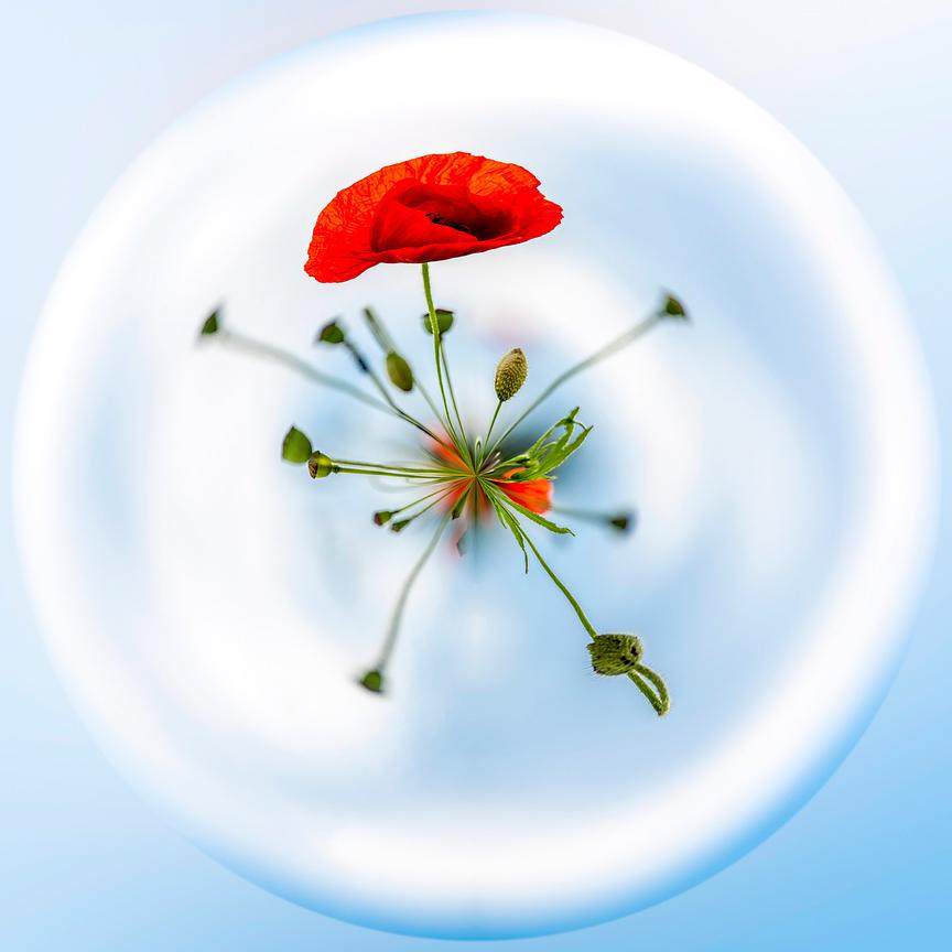 « Espoir et Attente », photographie de la série Planètes Imaginaires de Paul Marnef