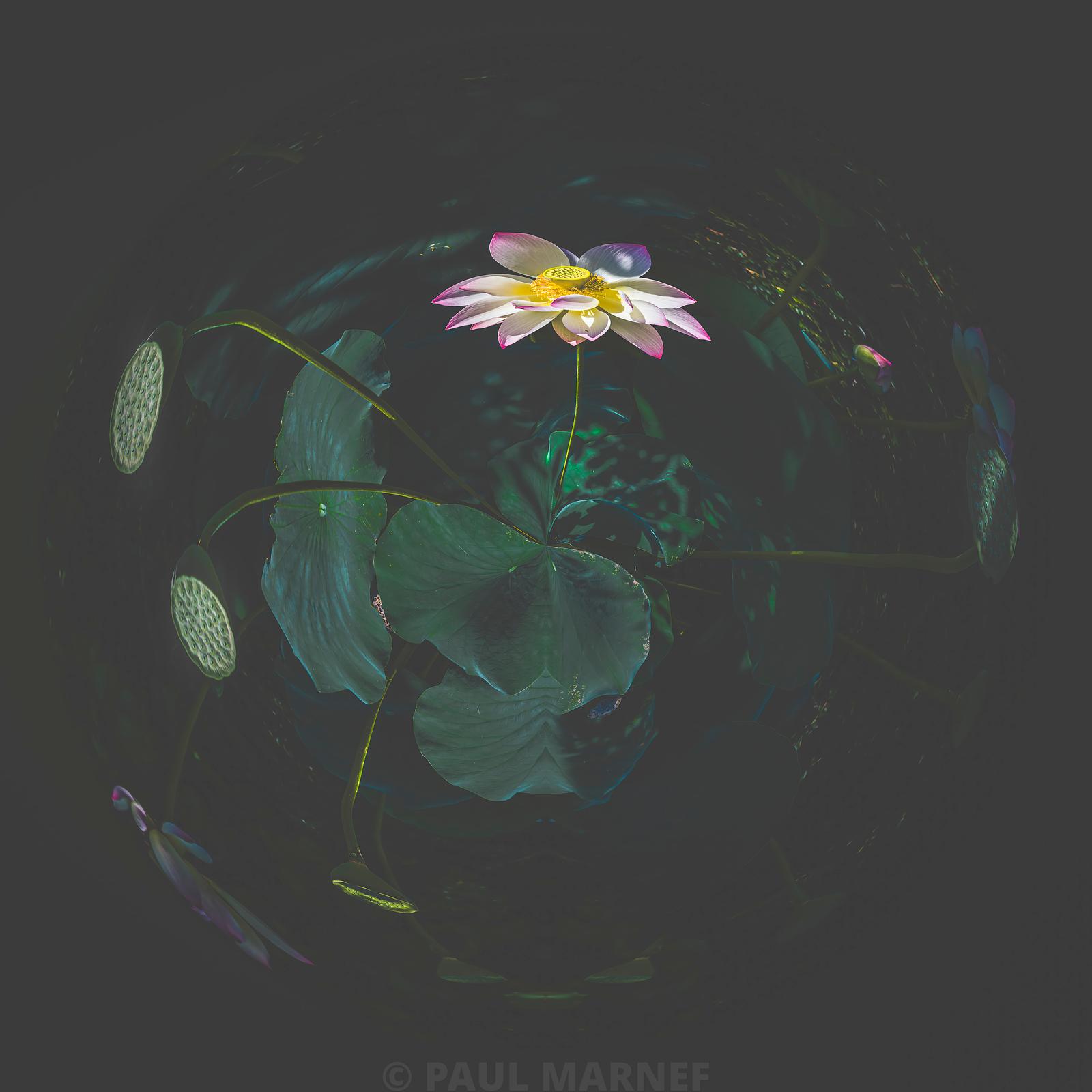 Rêve d'Eternité — Paul Marnef