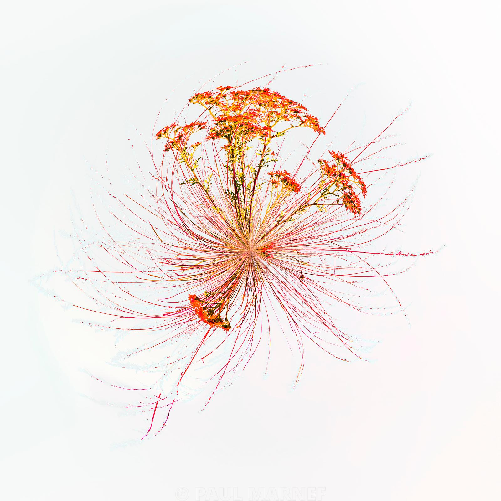 « Soupirs Rouges », photographie de la série Planètes Imaginaires de Paul Marnef