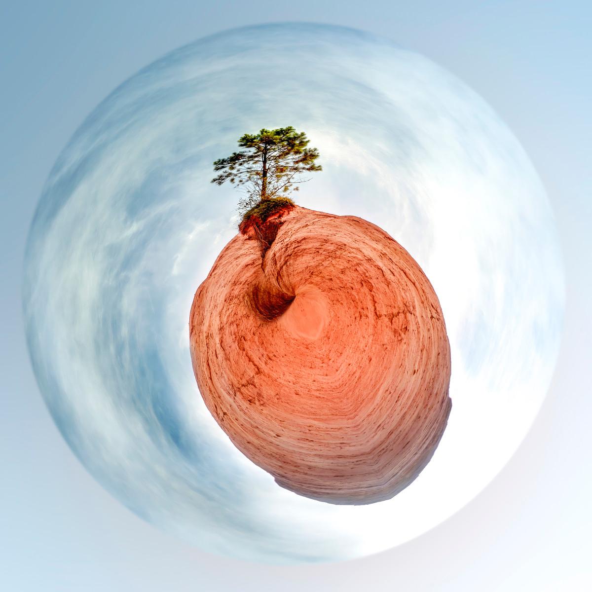 Un pin solitaire surplombe une roche arrondie aux teintes roses dans une vorticelle de ciel clair.