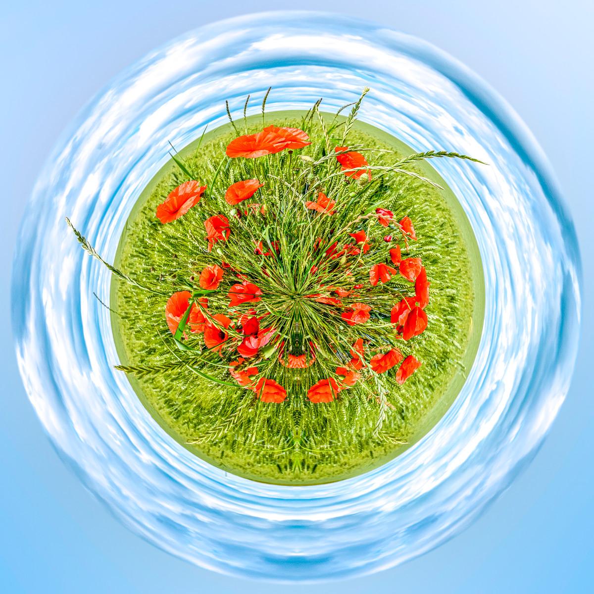 Champ de coquelicots rouges et d'herbe verte en spirale, entourés d'un ciel bleu aux nuages déformés par l'effet du puits de pêche.