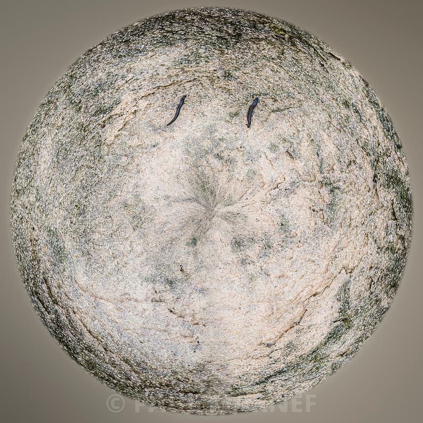 Œuvre sculpturale représentant une sphère de pierre granulaire clair recouverte de mousse verte avec un objet fin et noir posé sur la surface d'un hémisphère.