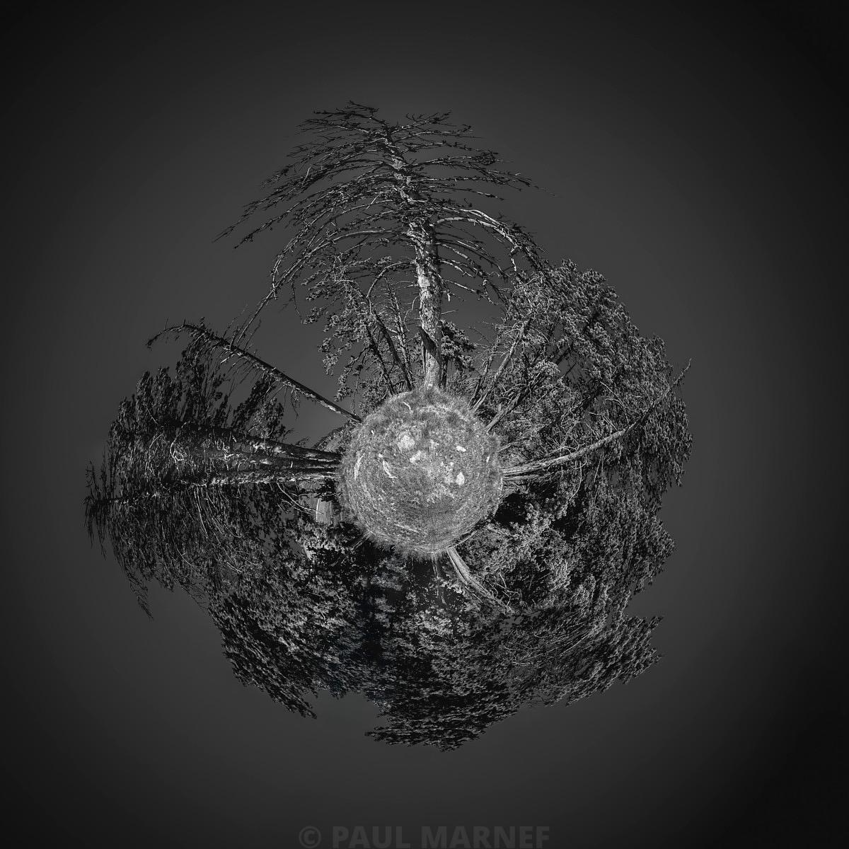 Masse sphérique texturée formée de branches de sapins gelées disposées en spirale dans le noir.
