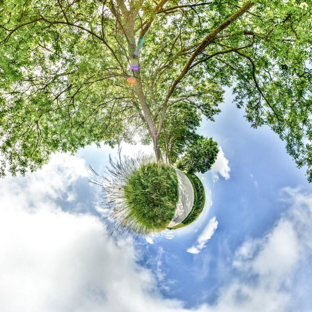 Reversed fisheye view: a bare tree trunk supports a central sphere of grass and plants, beneath a blue sky dotted with clouds.