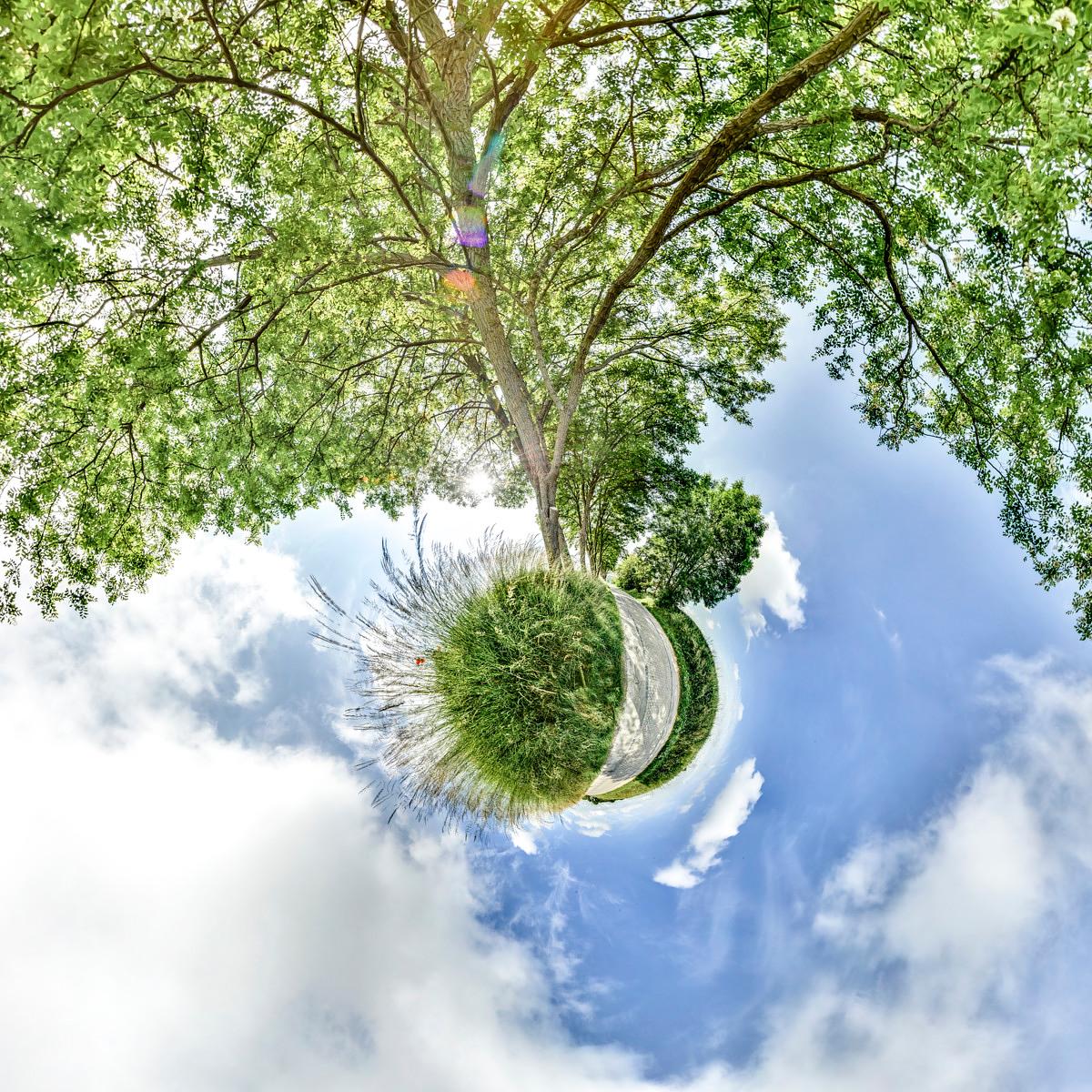 Vue en fisheye inversée : un tronc dépouillé soutient une sphère centrale de gazon et de plantes, sous un ciel bleu panaché de nuages.
