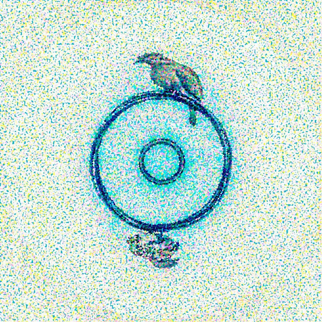 Un oiseau gris perchant sur la partie supérieure d'une grille circulaire en fil de fer ornée d'un centre annulaire, posée sur un sol caillouteux.