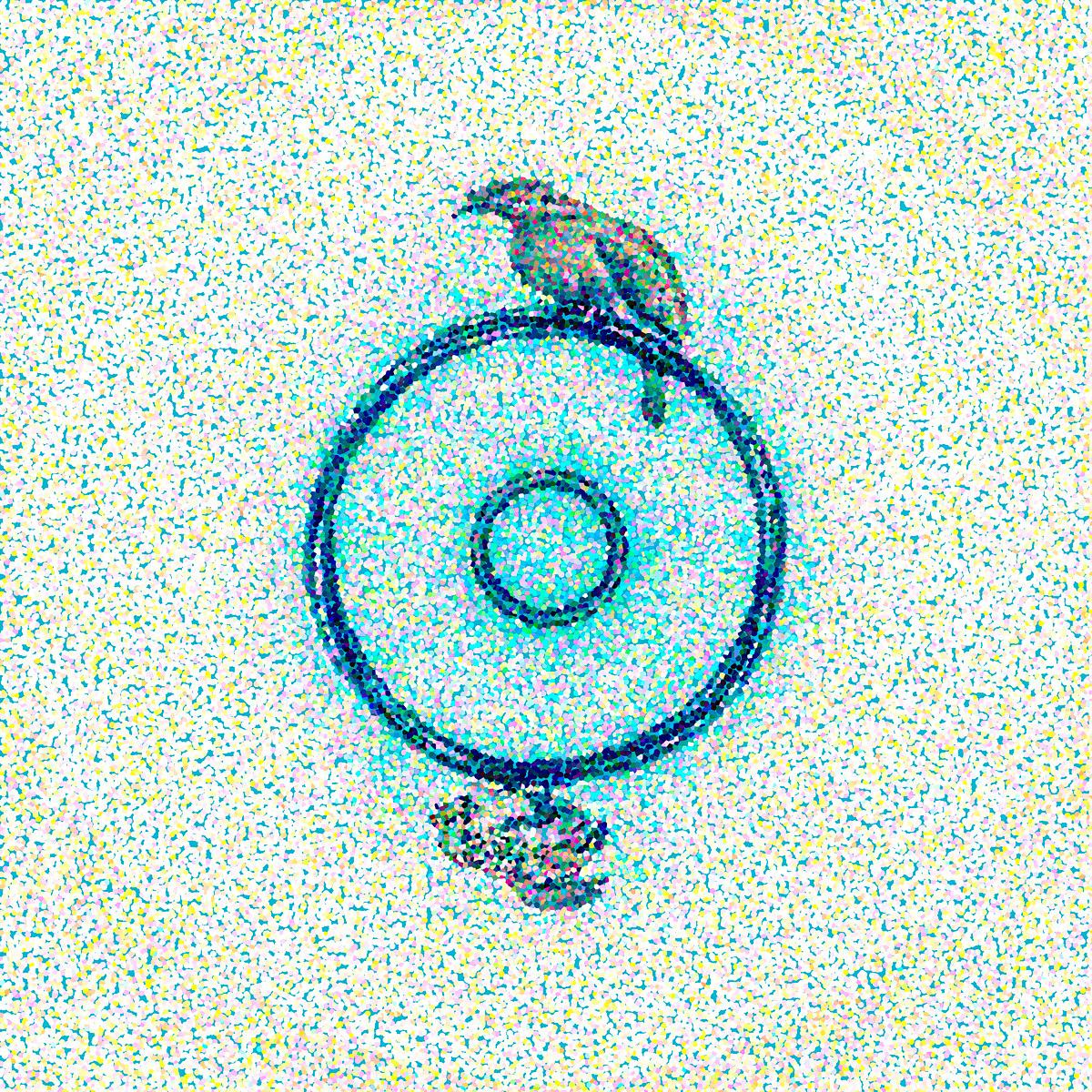 Etrange Oiseau