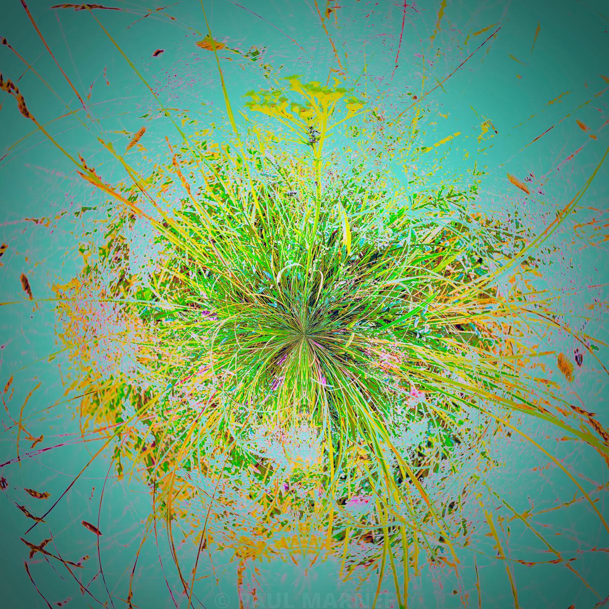 Des touffes de herbes aux tons verts et jaunes éclatent en épi sur une toile turquoise parsemée de fines traînées rosées, évoquant un souffle de bourgeons.