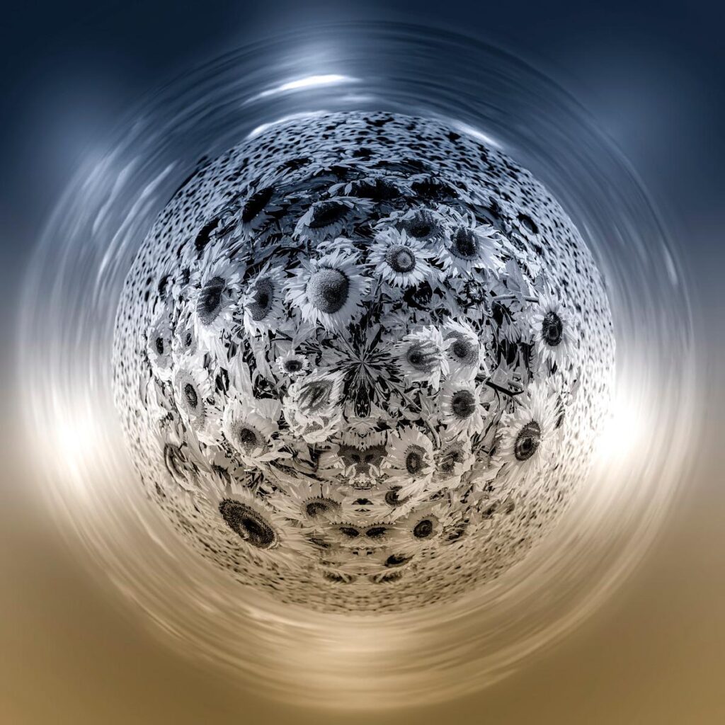 Dense spheres of black and white sunflowers immersed in streaks of light swirling upwards and downwards.