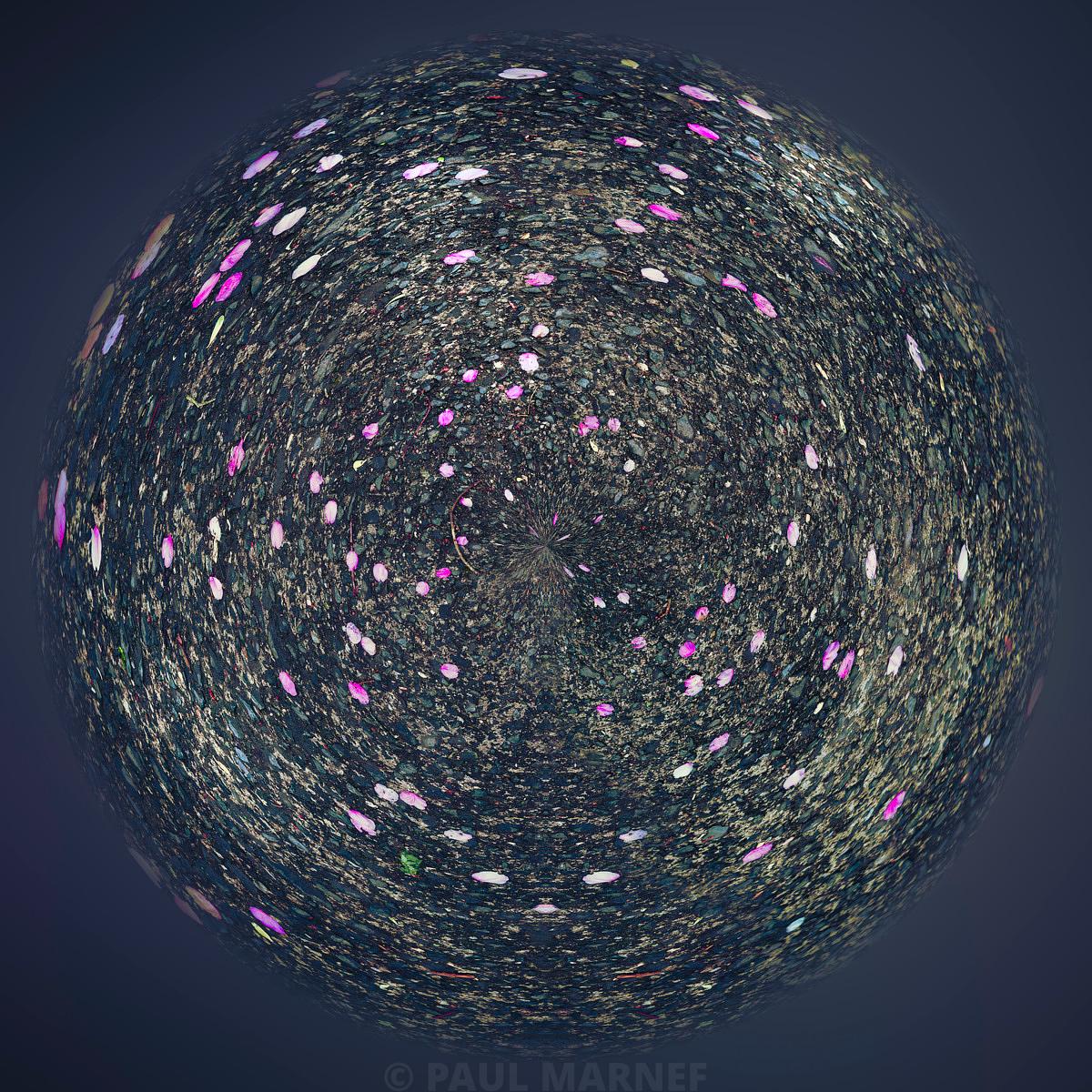 Hanami