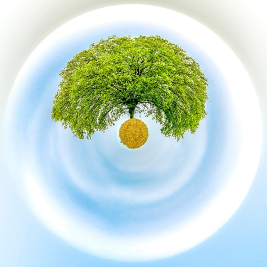 A tree with dense foliage towers over a ball of golden straw, set against a blue sky with swirling circles.