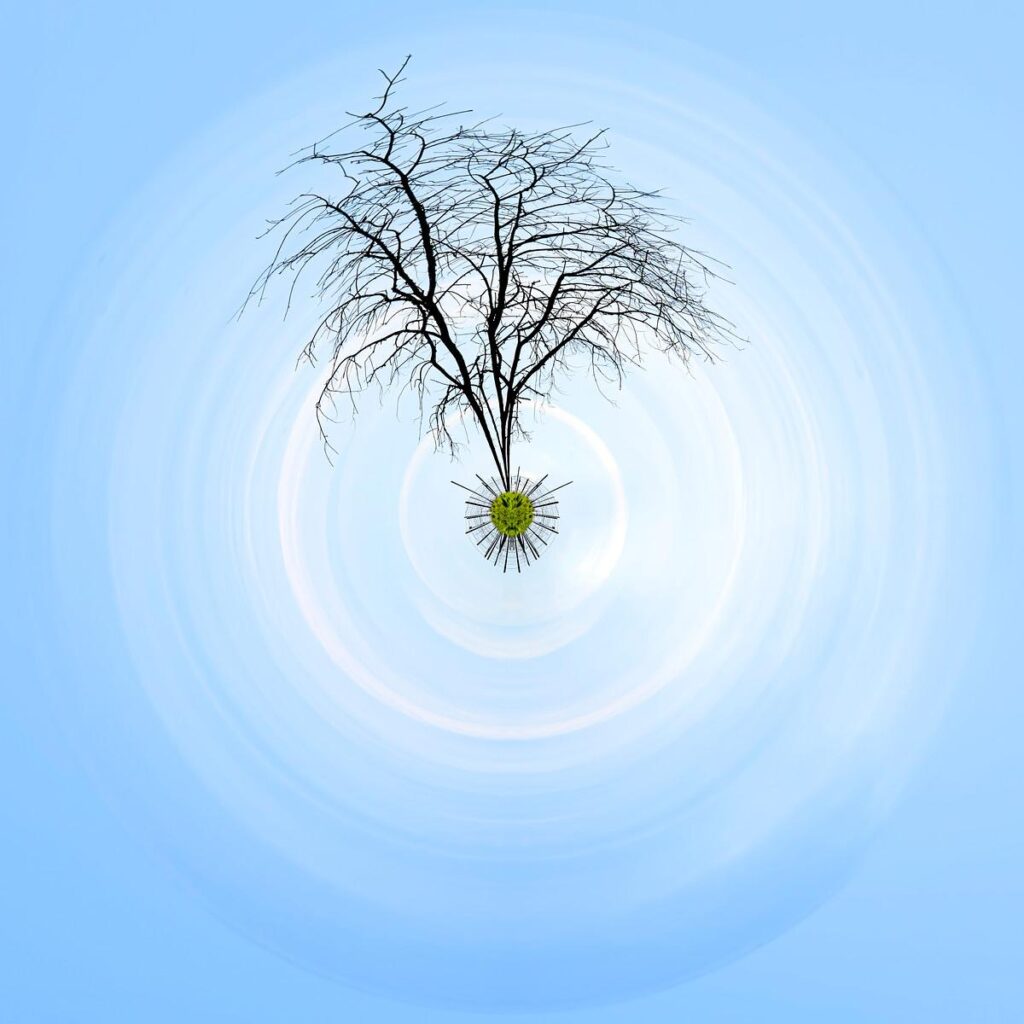 The silhouette of a bare tree stands out against the blue sky, its branches forming a smiling face within the circular composition.