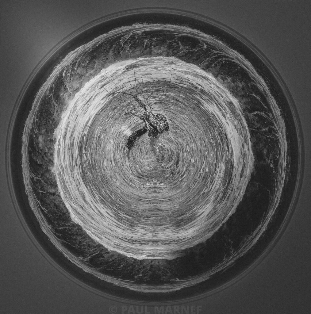 Un arbre nu au centre d'un vaste mouvement en spirale où la neige et les forêts se courbent dans un tourbillon noir et blanc.