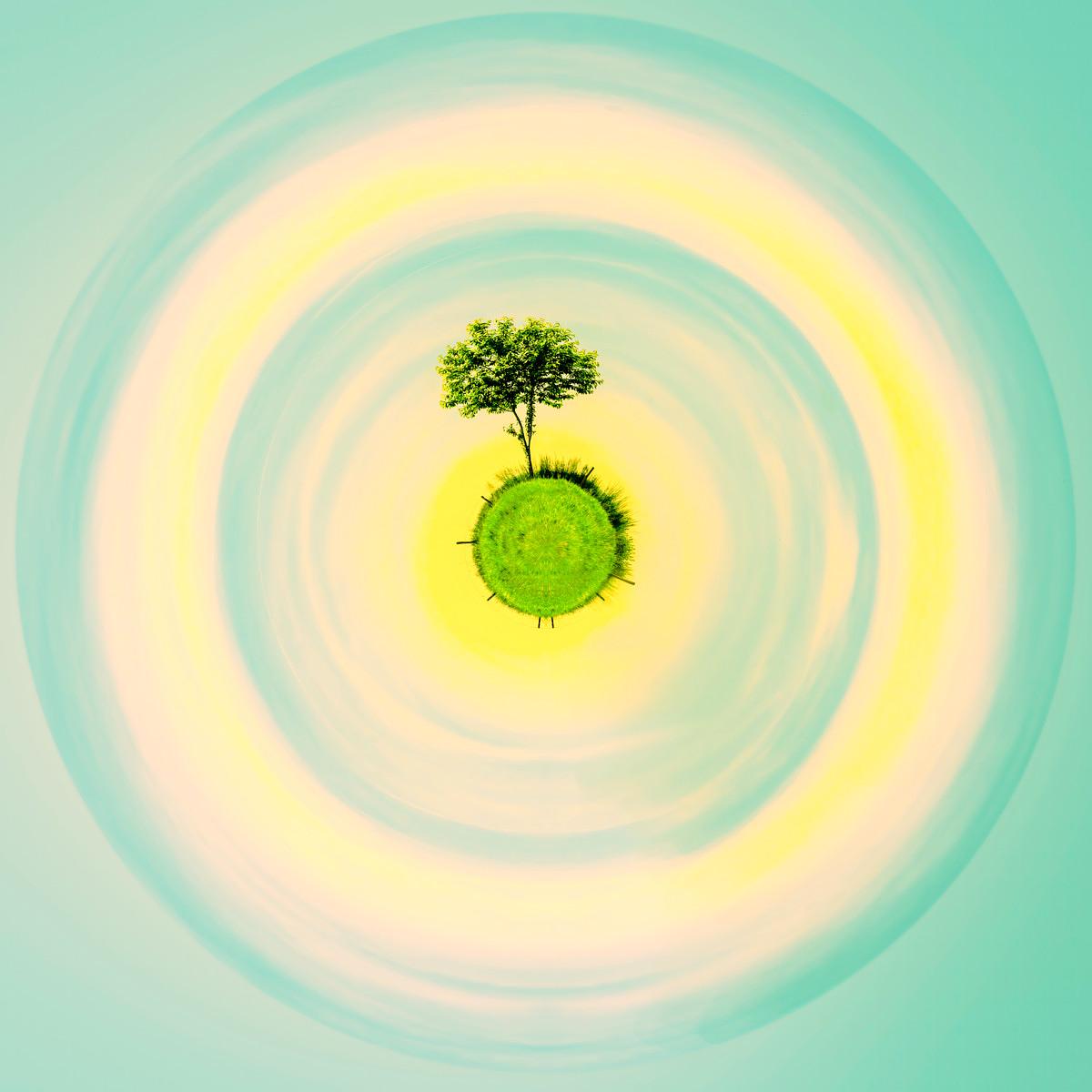 Un arbre aux feuillages verts sur une butte herbeuse au centre de grandes ondulations circulaires, créant des anneaux pastel de vert, jaune et bleu.