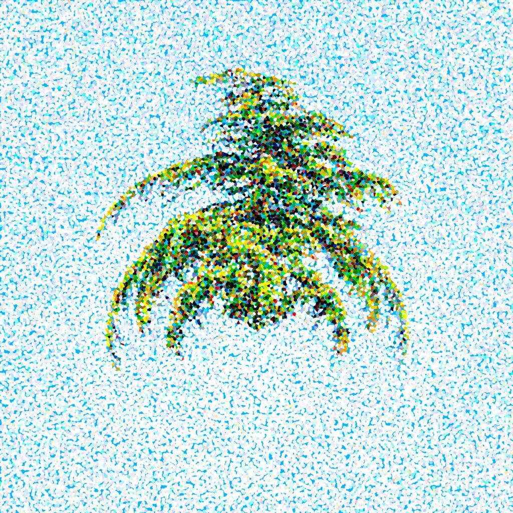 Feuillage vert de texture granuleuse s'assemblant entre deux branches suspendues sur un ciel clair en points bleus et blancs.