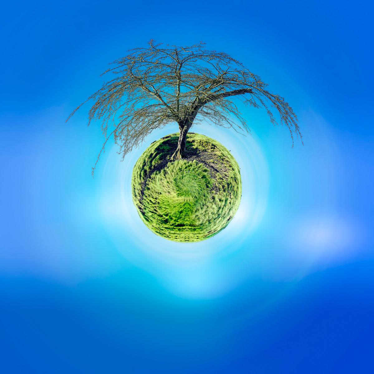 Arbre dénudé posé sur un dôme de gazon vert formant une sphère flottant dans un ciel bleu vif et dégagé.