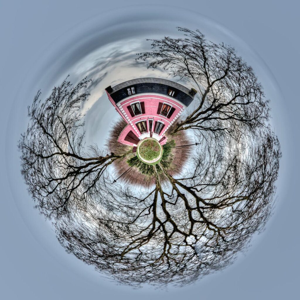 360-degree views of the Maison Rose, framed by tall, leafless trees.