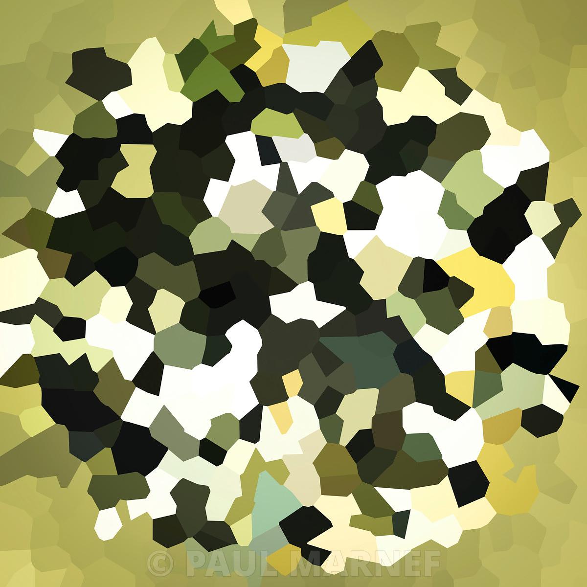 Une floraison blanche et verte abstraite faite de polygones superposés se détache sur un fond jaunes et verts.
