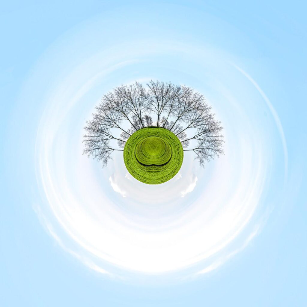 Des arbres dénudés émergent d'un disque de pelouse verte, le ciel bleu ondule en cercles concentriques créant une illusion de sourire.