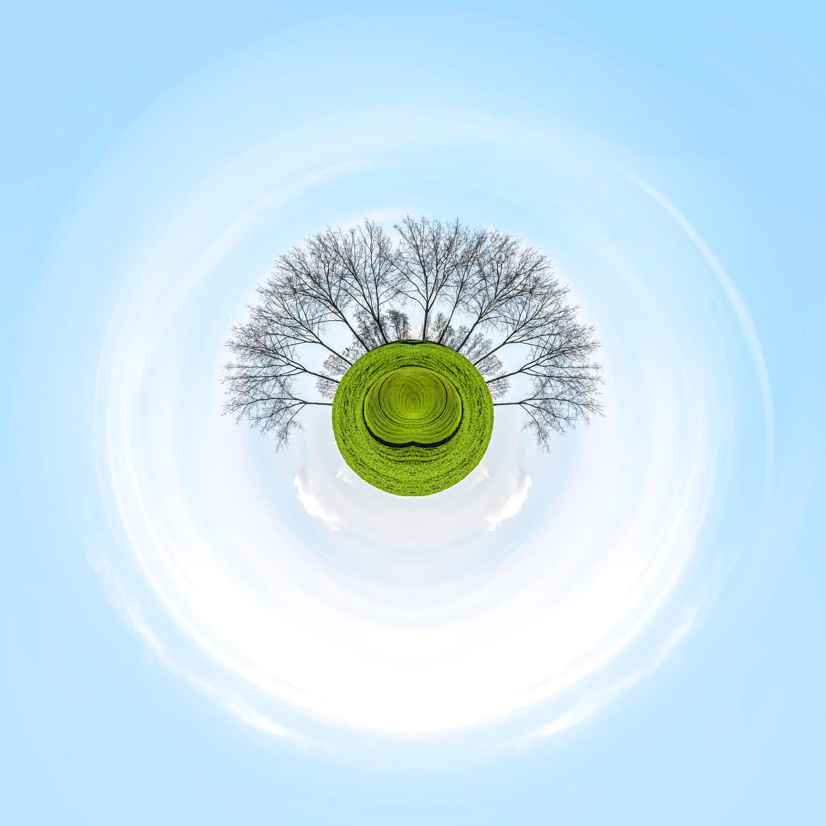 Des arbres dénudés émergent d'un disque de pelouse verte, le ciel bleu ondule en cercles concentriques créant une illusion de sourire.