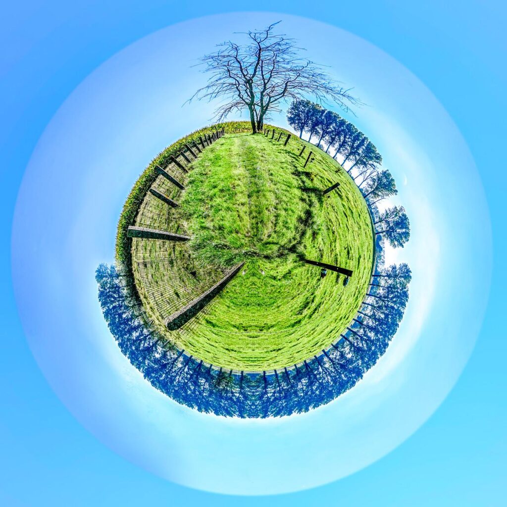 A boulevard lined with fir trees, curving in a perfect circle, with a lush green lawn beneath a blue sky.