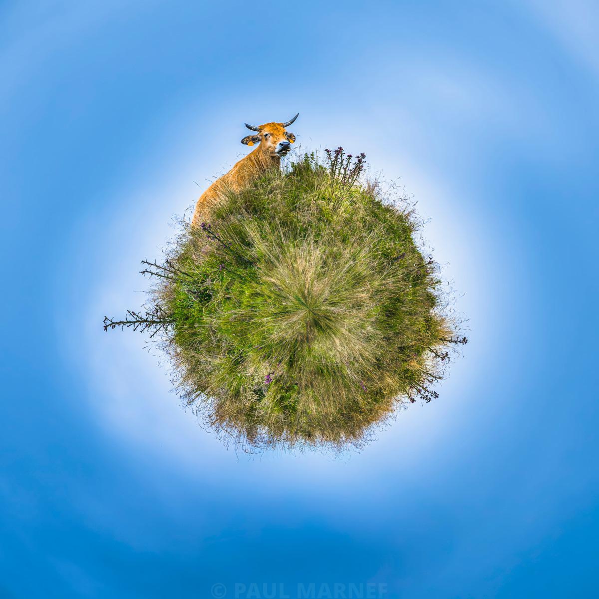 Vache en peluche sur un petit globe d'herbe flottant dans un ciel bleu.