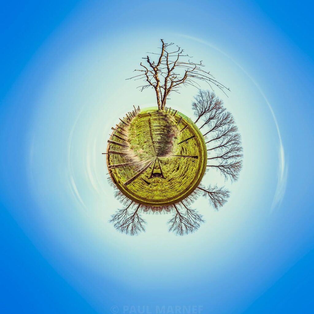 Une grande planète de gazon et d’arbres sans feuilles flotte dans un ciel bleu qui forme des halos en cercles concentriques autour.