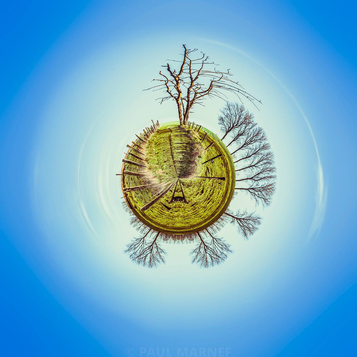 Une grande planète de gazon et d’arbres sans feuilles flotte dans un ciel bleu qui forme des halos en cercles concentriques autour.