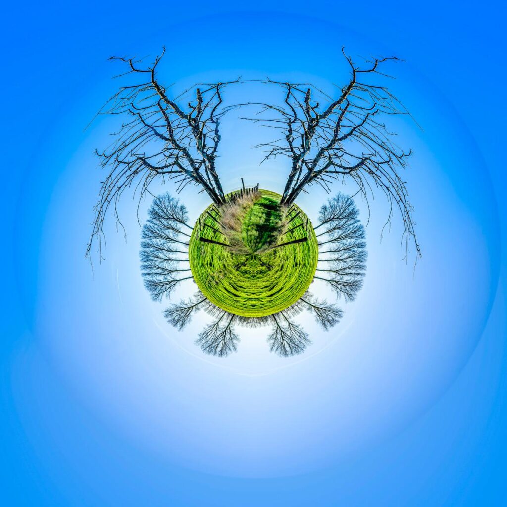 A circular landscape set against an intense blue sky, featuring a green hill, a wooden fence and bare trees in the foreground.