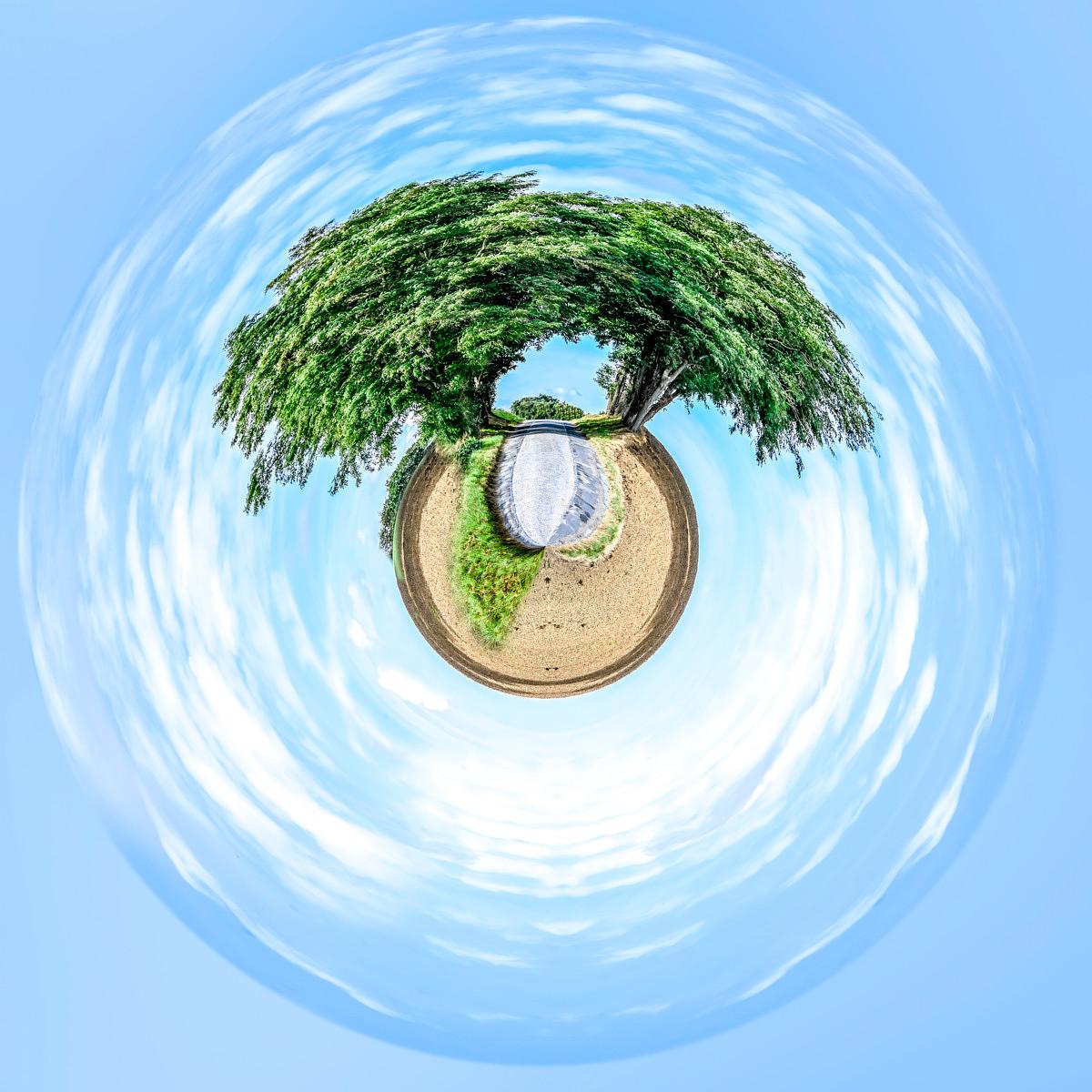Deux saules pleurants penchés l'un vers l'autre forment une arche au-dessus d'une clairière, nichés au centre d'un ciel bleu parsemé de nuages déformés en spirales circulaires.