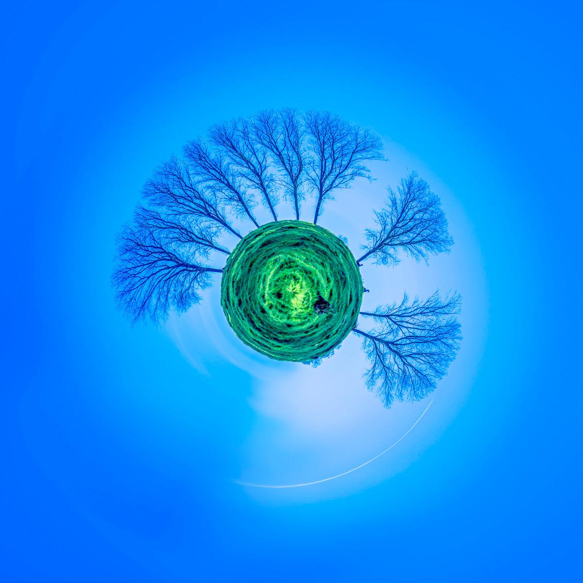 Une sphère virevoltante de feuillage vert entoure une couronne d'arbres dénudés qui cernent un vaste ciel bleu et ininterrompu.