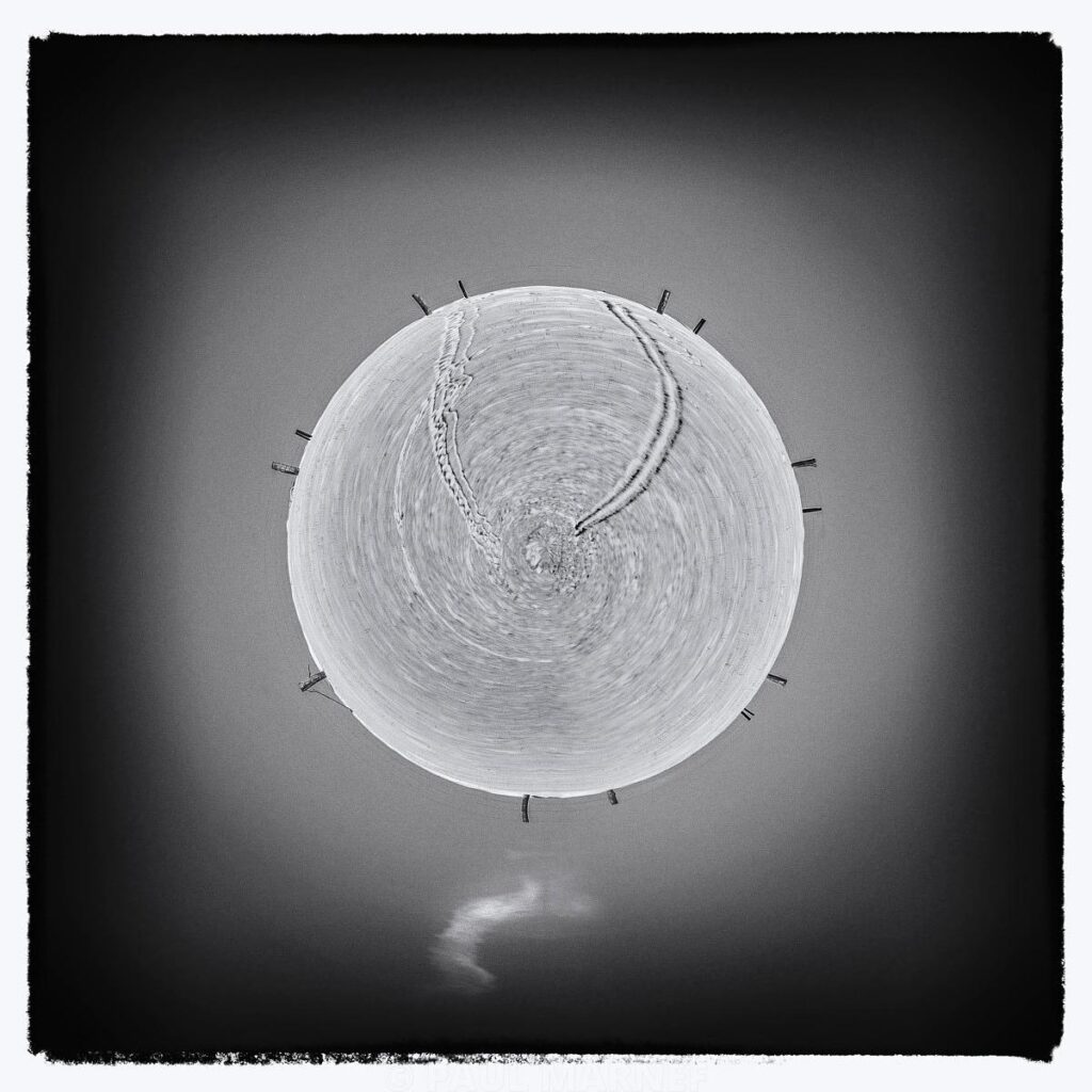 A pale white disc suspended in the centre of a grey, cloud-like background, adorned with two curved streaks and crowned with slender dark stems.