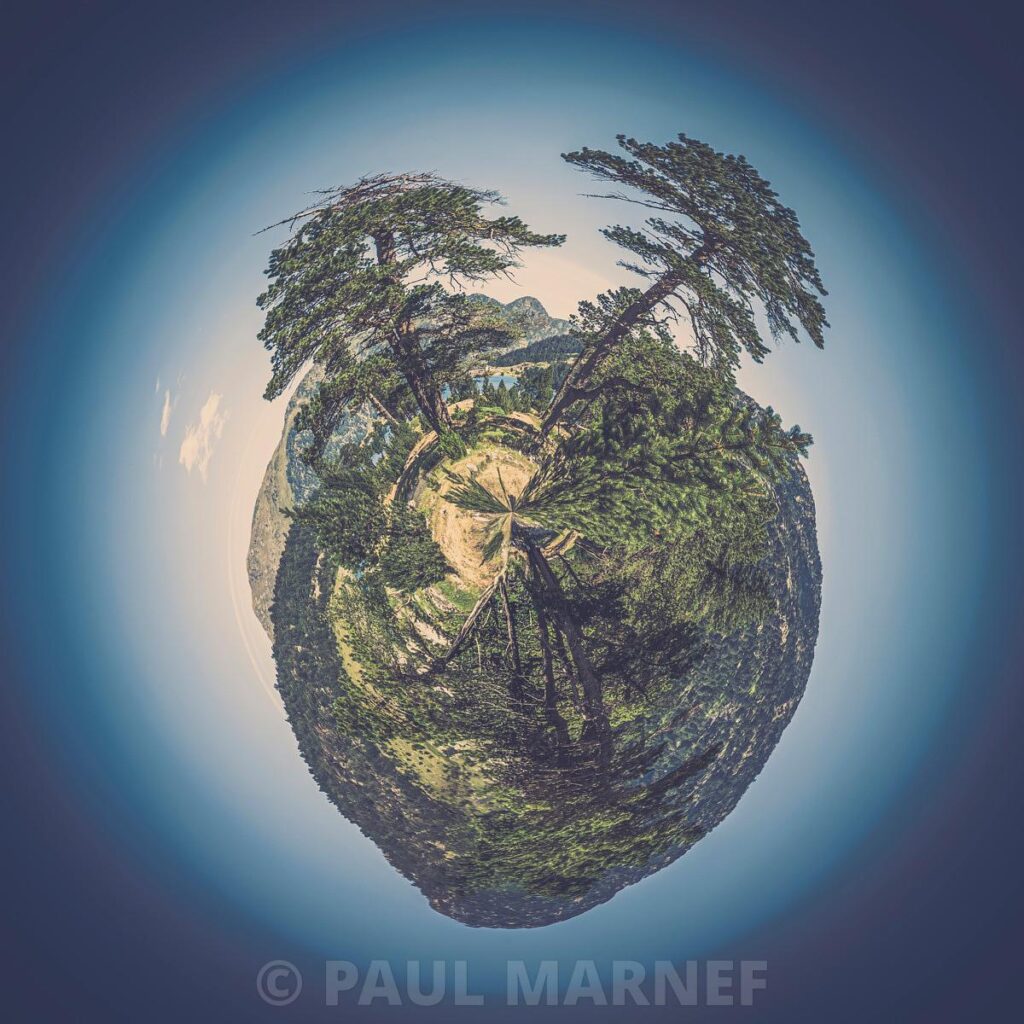 A miniature spherical view depicting a mountain landscape and trees that converge in an embrace at the centre, set against a gradient of blue.