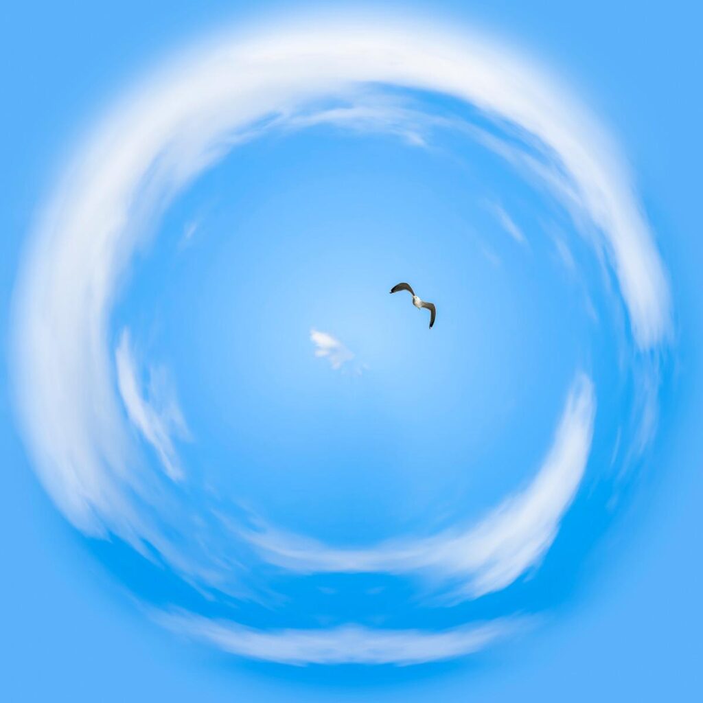 Ciel bleu où un oiseau blanc et noir plane au centre d'un gigantesque anneau de nuages tourbillonnants.