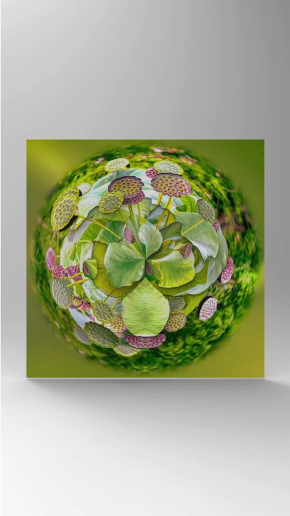 A sphere featuring water lilies and stems in relief, positioned in the centre against a green and white background.