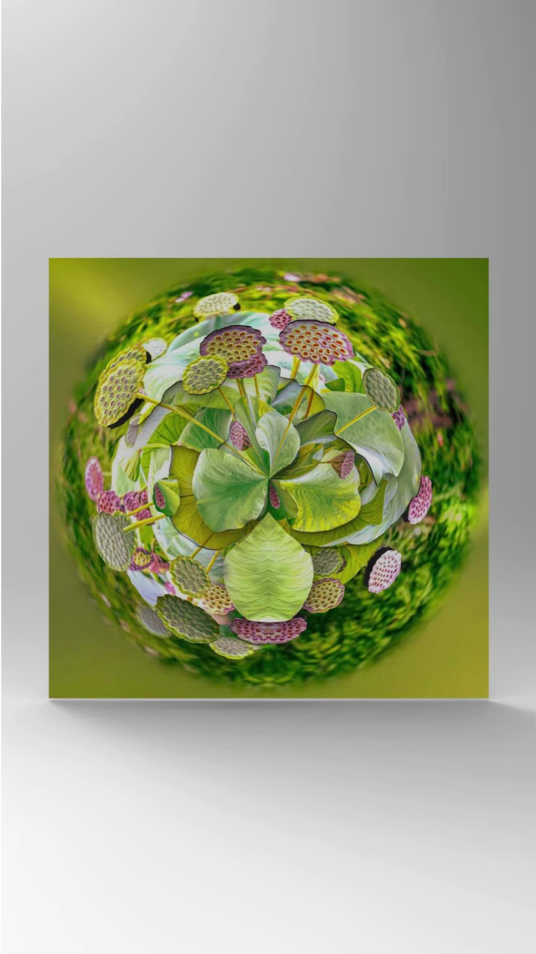A sphere featuring water lilies and stems in relief, positioned in the centre against a green and white background.