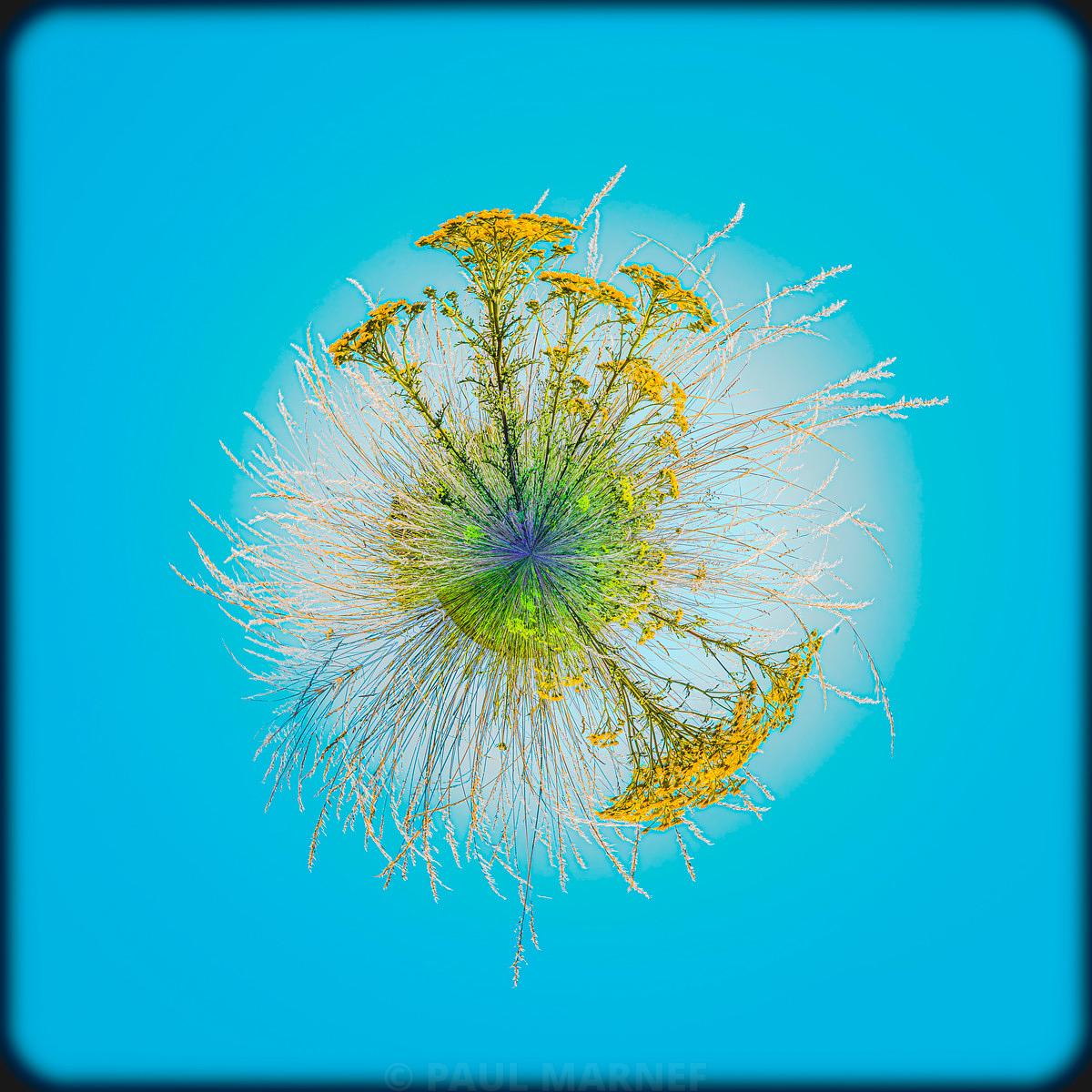 Forme sphérique aux fleurs jaunes et brins blancs en composition radiale sur un fond bleu turquoise lumineux.
