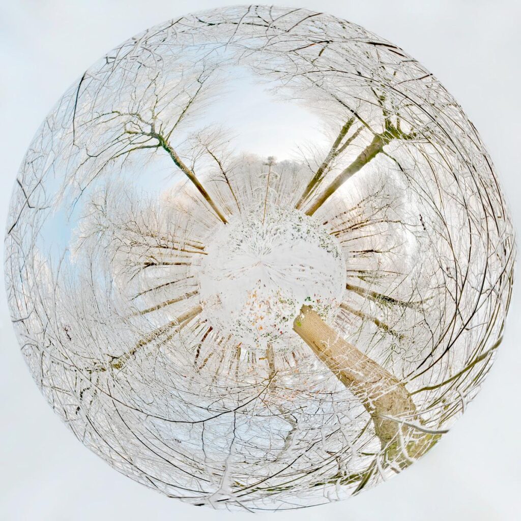 A cluster of bare, snow-covered tree branches intertwining in a spiral to form an organic sphere resting on a plain white background.