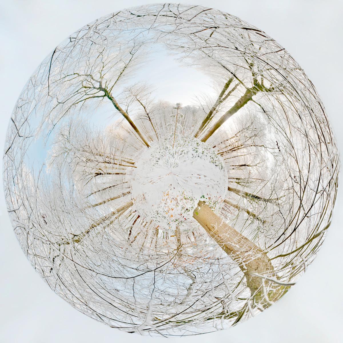 Boule de branches d'arbres nus couverts de neige se croisant en spirale pour former une sphère organique reposant sur un fond blanc uni.