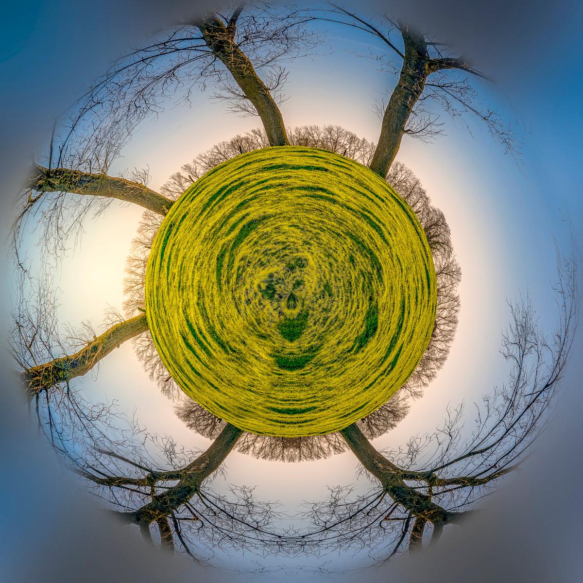 Prise de vue en petite planète d'un pré vert entouré de arbres dénudés s'étendant vers un ciel clair jusqu'à la forme circulaire.