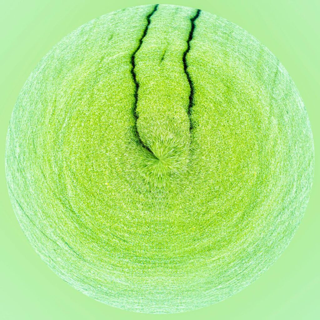 A circle of green grass covering the entire frame, crossed by a thin, wavy black line against a light-green background.