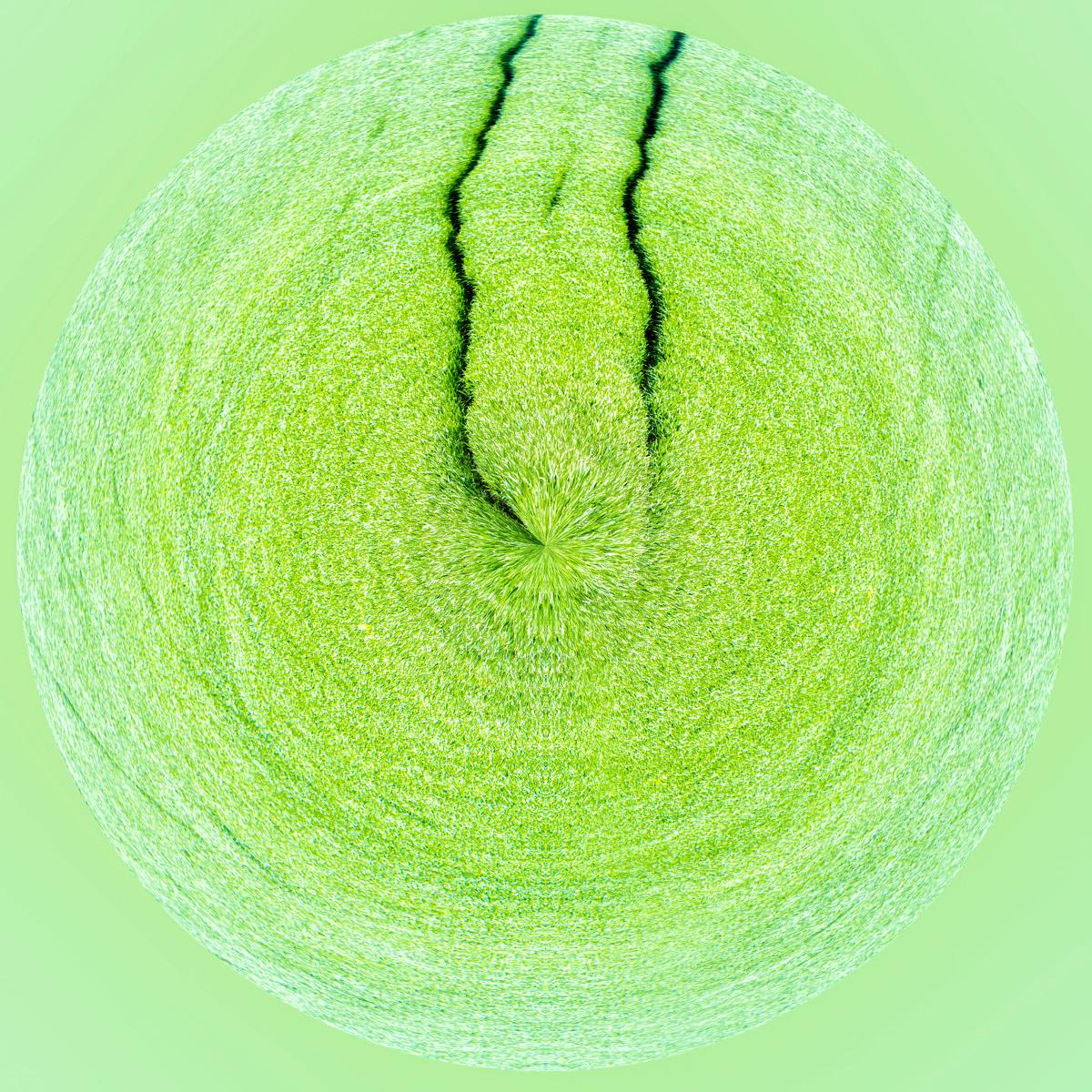 Un cercle de pelouse verte couvrant tout le cadre, traversé par une fine ligne noire ondulée sur fond de clair-vert.